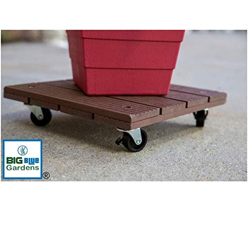 Big Blue Gardens 12" Heavy Duty Plant Caddy with 1.5" Wheels