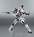 Bandai Tamashii Nations Robot Spirits Dragonar 1 Custom 