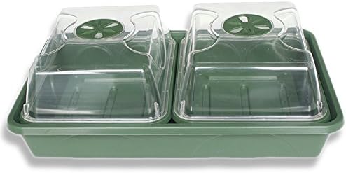 EarlyGrow MPL50081/P 2-Bay Windowsill Propagator - 38cm - Green
