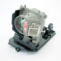 20-01501-20 Replacement Projector lamp with Housing