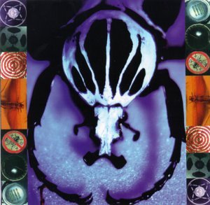 The Age of Electric - Make a Pest a Pet - Zortam Music