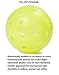 TOP Ball (The Outdoor Pickleball) - 6 Count - Yellow - USAPA Approved for Tournament Play