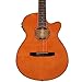 Ibanez AEG10NII Nylon String Cutaway Acoustic-Electric Guitar Tangerine