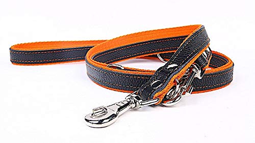 Capadi K0186 Adjustable Dog Lead Real Durable Leather Lined Strong Nylon Orange Width 12 mm Length 220 cm