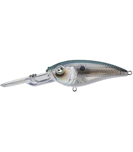 best cold front bass lures tactical bassin River2Sea Bassin' Dd Crankbait Summer Minnow : Sports & Outdoors Size:5 PK Small Daiwa Steez ct SV Phantom Musky Bait