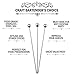 Cocktail Picks Stirrers Toothpicks -(24 PACK) 8 inch Bloody Mary Skewers Reusable Stainless Steel Cocktail Picks for Drink Skewers and Appetizers Fruit Sticks Martini
