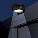 Falove Solar Light Lamp Yard Wall LED Light, Black