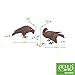 Achla Designs DOV-01 Pair Garden Animal Statuary Ornament Dove Bird, Antiqued Bronze