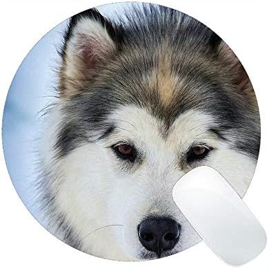 丸いマウスパッド 動物犬国内の動物の性質ハスキーそり犬ゲームマウスパッド Yanteng マウスパッド 通販 Amazon