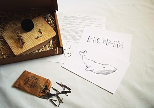 String Art Kit Starter – Gift ECO DIY perfect ideal gift (Bear)