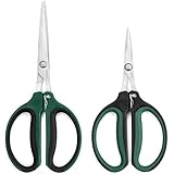 Hydroponic 60mm/40mm 2 pack Bonsai micro tip pruning shears (Stainless Steel) by Greenthumbpro