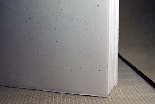White Seed Paper Heavy weight (80lb.) 8.5" x 11" pack of 30 handmade Card stock cotton fiber - Thumbnail 5