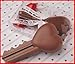 Solid Milk Chocolate Key To My Heart Unique Novelty Gourmet Candy Gift Boxed Key For Adults , Children & Lovers