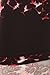 R744-OS Exotic Hibiscus Print Fashion Leggings