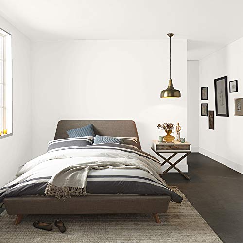 The Spruce Best Home by KILZ Interior Paint & Primer in One, First