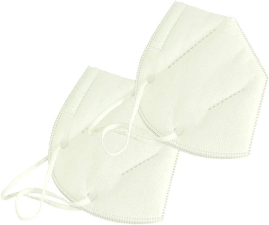 RUIJIN,Face Respirator Safety Anti-Dust,Germs,Smog for Women and Men (2 Pcs)