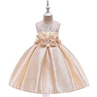 LEHNO Pretty Flower Dress Girls Wedding Dress (Champagne, 9-10Y-150cm)