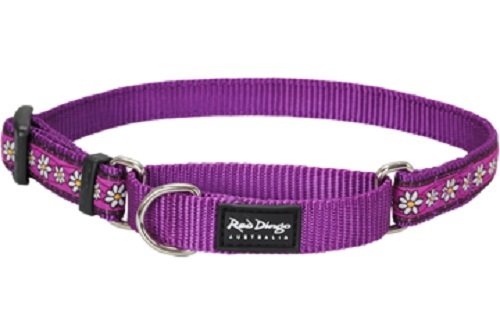 Red Dingo Martingale Daisy Chain 15mm Choke Collar, Small/Medium, Purple