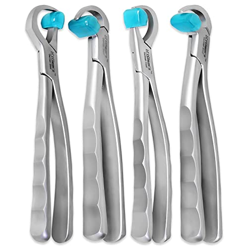 NYGEARZ Dental Extraction Physics Forceps Molar Atraumatic Tooth ...