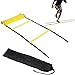 AIQI Speed & Agility Training Ladder for Improving Speed, Agility, Fitness, Leg Strength and More with Black Carrying Bag (Yellow, 12-Rung 20FT)