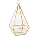 D'Eco Hanging Glass Pyramid Plant Terrarium (5x5x10)- Indoor Tabletop Gold Geometric Planter Terrarium for Succulents, Air Plants, Moss - Home & Office Holiday Decor - Xmas Gift for Plant Lovers