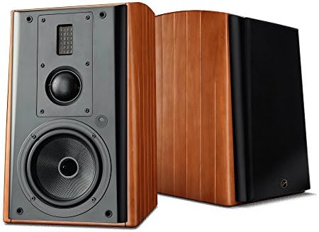 swan powered speakers