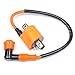Wingsmoto Ignition Coil+CDI+ 3-Electrode Spark Plug CG 125 200 ATV Dirt Bike Racing Performance … (Ignition Coil)