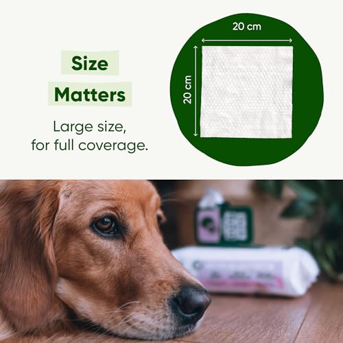 Beco Dog Wipes - 1 Pack of 80, Coconut Scented, For Paws, Body and Bum, Plant-Based Grooming Wipes