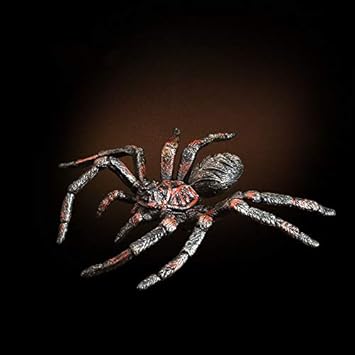 Prbll Ornamente Spielen Sie Mule Insekten Tiermodell Schwarze