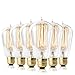 Hudson Bulb Co. Vintage Incandescent Edison Light Bulbs, 60W, E26/E27 Base, 2100K Dimmable Decorative Lights, ST58 Style Warm Glow, Antique Squirrel Filament for Outdoor and Indoor Use - 6 Pack