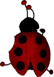 La  coccinelle