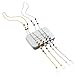 Mini Tree Glasses Strap Necklace Eyeglass Chain Beaded Eyeglass Holder Sunglasses Strap and Cords for Women (Silver and Gold)