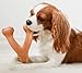 Benebone Wishbone Durable Dog Chew Toy for Aggressive Chewers, Real Chicken, Made in USA, Small, for Any breed