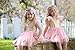 Gold and Pink Gauze Camisole Layered Tutu Dress Girls Valentines Dress, (5 years)