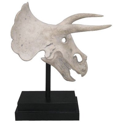 Design Toscano Triceratops Dinosaur Skull Fossil Statue on Museum Mount