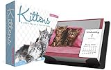 Keith Kimberlin Kittens 2020 Box Calendar by 
