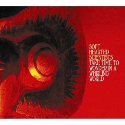 Take Time To Wonder In A Whirling World