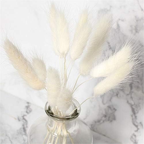 Real Flower 50Pcs Natural Dried Flowers White Flowers Colorful Fake Rabbit Tail Grass Foxtail Bouquet Long Bunches (Color : Beige White)