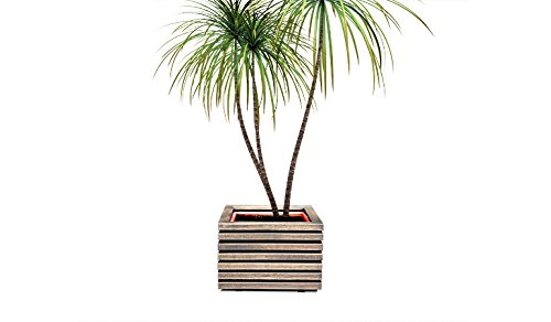 4betterdays.com NATURlich leben! Pflanzenbehälter Pflanzkasten Pflanzkübel Blumenkasten Pflanztopf Blumentopf… – Bild 6