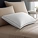 Pacific Coast Double DownAround Medium Pillow 300 Thread Count 550 Fill Power Down & Resilia Feathers - Standard