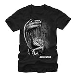 Jurassic World Sly Velociraptor Mens Graphic T Shirt - Fifth Sun