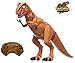 O.B Toys&Gift RC Walking Dinosaur Toy Tyrannosaurus Rex w/ Roar Sounds , Head Shakes & LED Lights , Remote Control Kids Dinosaur T-Rex
