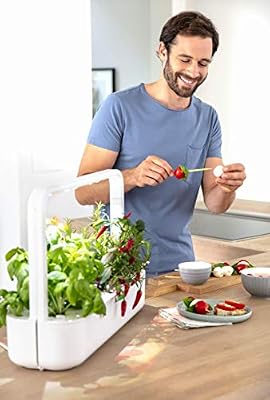 Emsa Click & Grow Smart Garden 9 unidades M52619, Semillas Smart ...