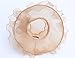 SAFERIN Women's Organza Church Kentucky Derby Hat Feather Veil Fascinator Bridal Tea Party Wedding Hat (SF4-Champagne)
