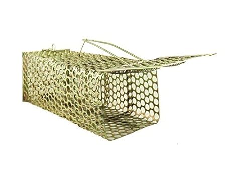 Ration basket Iron Rat, Rodent, Mouse Trap/ Catcher