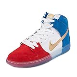 Nike Men's Dunk High Premium SB Skate Shoe