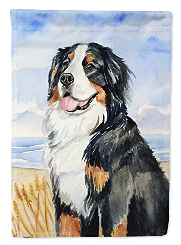 Caroline's Treasures 7012CHF Momma's Love Bernese Mountain Dog House Flag Large…