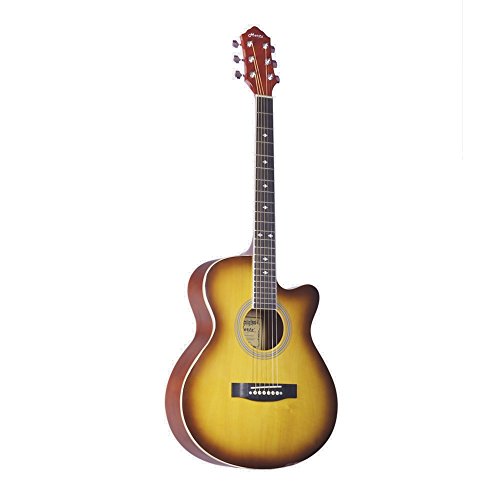 Hertz HZA 4010 Aoustic Guitar TS