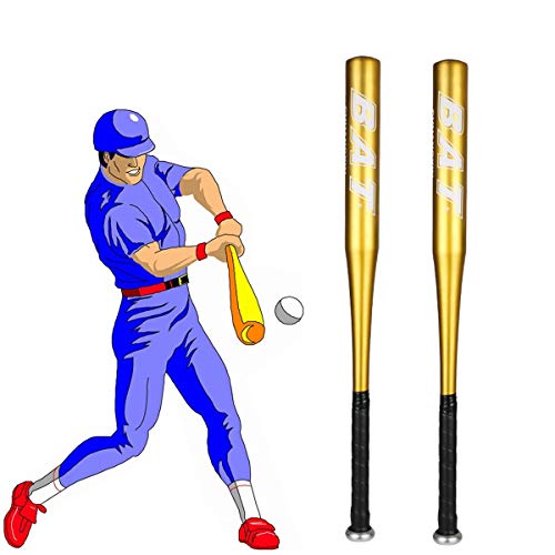 HagieNu 2 Packs 25 Inch Baseball Bat Aluminum Alloy SelfDefense Softball Bat Youth Baseball for