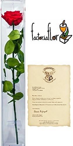 Pink Natural Red Preserved + Acceptance Letter To Hogwarts customized Envio Urgent 24h. Now with card with Personal Note
